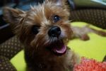 DSC01547.jpg