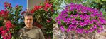 LEFT: Me and one of my Bougainvilleas. / RIGHT: This Pelargonium remembers me of the nice Dynatrace DEM color.