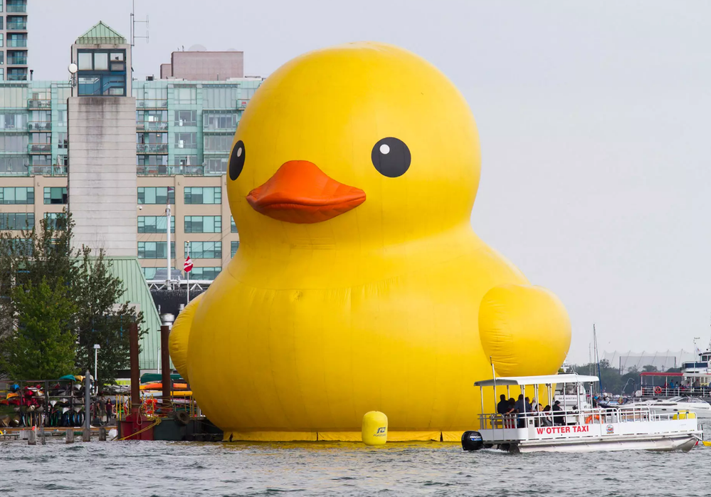 giant duck.png