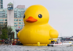 giant duck.png