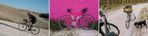 My self-built steel-frame road bike on Campagnolo groupset /