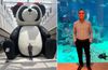 Having fun with giant Chinese pandas. / Palm Atlantis - Dubai 2024 - Enjoying aquarium
