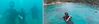 diving.jpg
