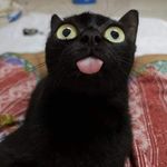 dekidekide