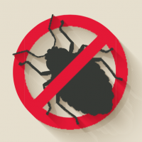 no_bug.png
