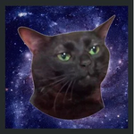 catversenew.png