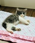 Look at his little toe beans <melting>