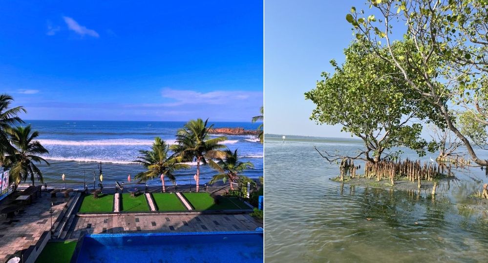 Impressive landscape of Kerala.