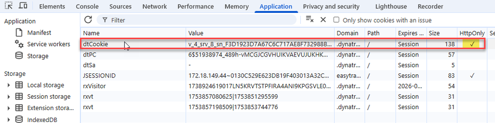 httpOnly_application_tab.png