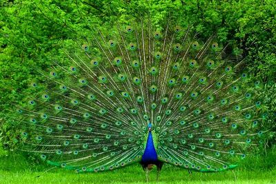 p_devulapalli_5-1754961853299.jpeg