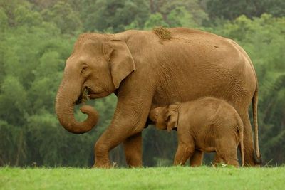 p_devulapalli_9-1754962599860.jpeg