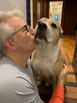 give your beloved pet a hug today