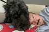 Mike and his dog, Samwise.