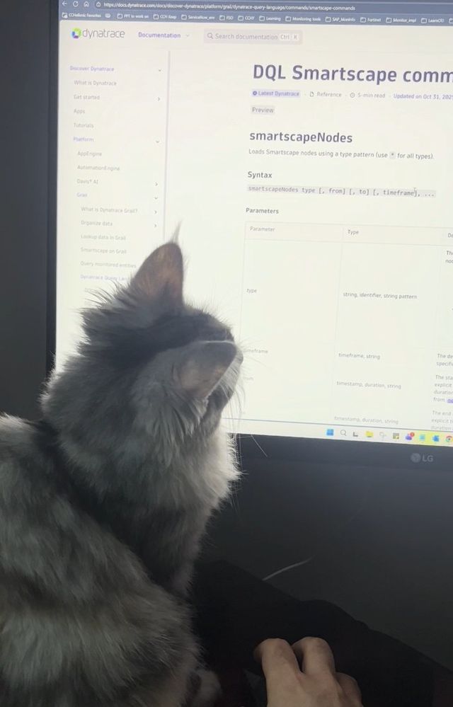 Mia the cat learning Dynatrace new features with Yann (note from the Community team: it is a cute video but due to technicalities we can't upload it. We're however sharing a screenshot because it's just too cute to miss :3)