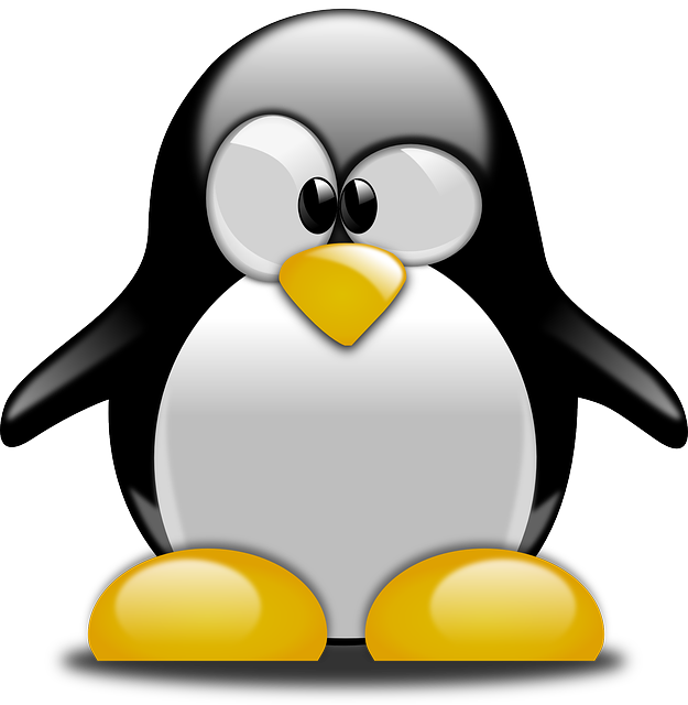 penguin-158551_640.png