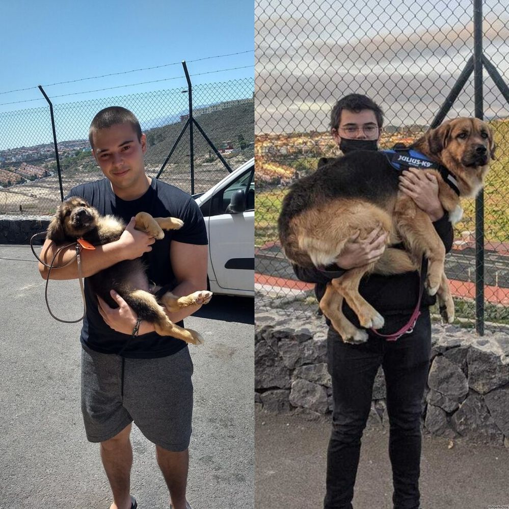 LEFT: Adoption Day :) RIGHT: One year later.