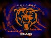 bears2.jpg