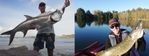 LEFT: Tarpon in St Barts from the edge (French Antilles); RIGHT: A big Pike caught in the middle of nowhere in Brittany (France).